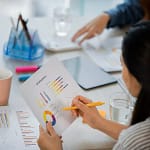 Budget Planning, Controlling & Analyzing